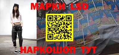 spice Кулебаки